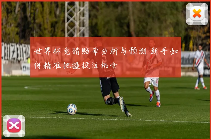 世界杯竞猜赔率分析与预测 新手如何精准把握投注机会