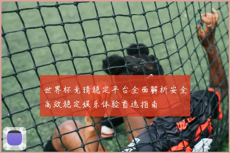 世界杯竞猜稳定平台全面解析安全高效稳定娱乐体验首选指南