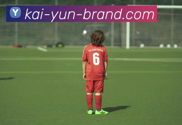 开云平台展示图