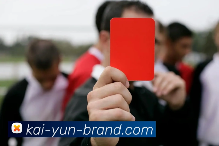 开云官网全站App